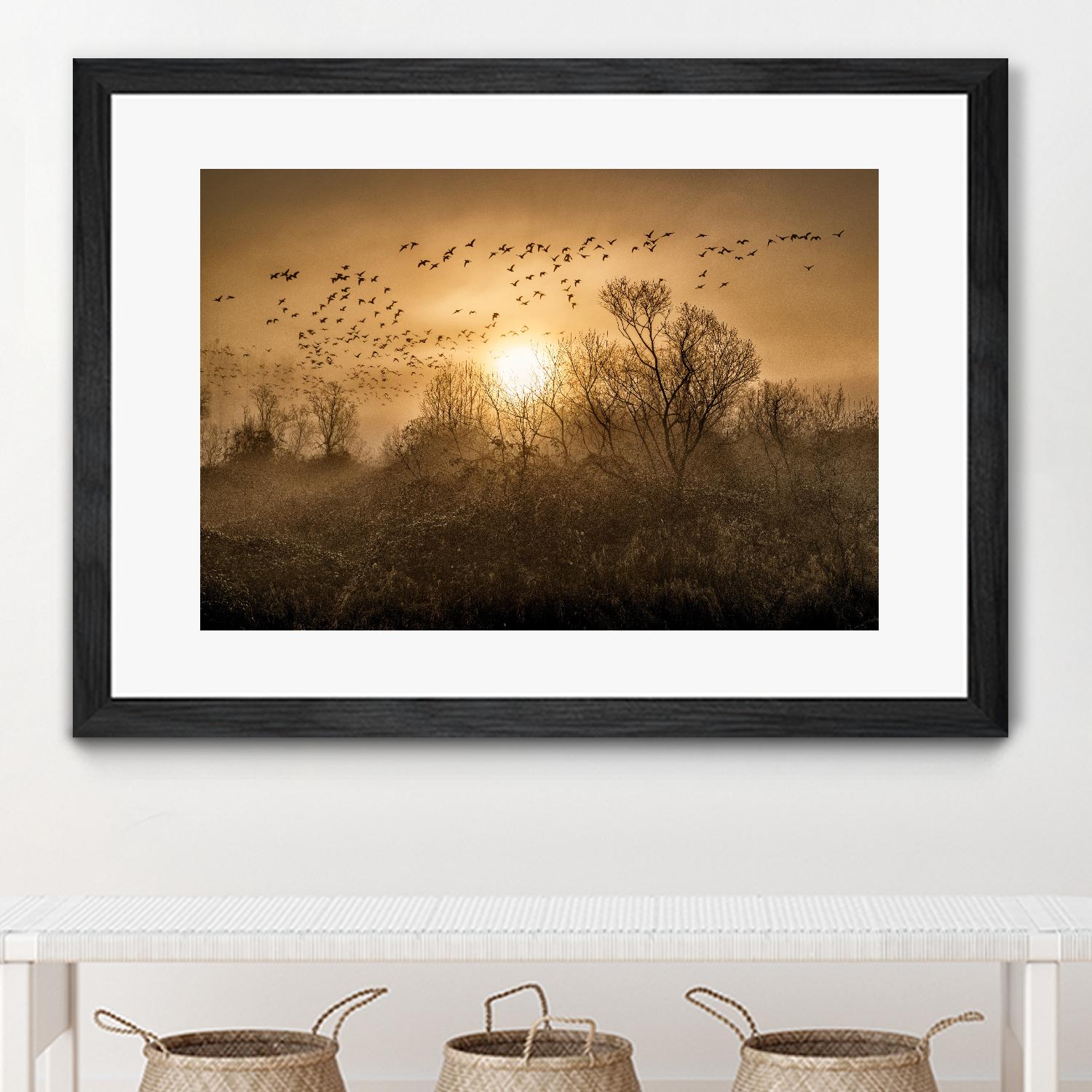 The Flight by Vladimir Kostka on GIANT ART - multicolor photography; landscapes