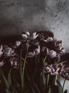 Dark Tulips by Design Fabrikken on GIANT ART - multi floral/still life, photography, flowers, tulips