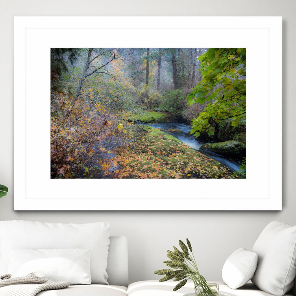 Snow in Fall by Tim Oldford on GIANT ART - multicolor photography; landscapes