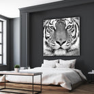 Tiger by PhotoINC Studio on GIANT ART - white animals