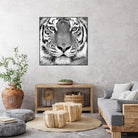 Tiger by PhotoINC Studio on GIANT ART - white animals