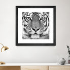 Tiger by PhotoINC Studio on GIANT ART - white animals