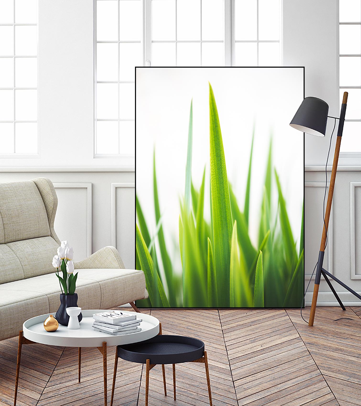 Blades of Green No. 1 by Sonja Quintero on GIANT ART - multi floral/still life, photography