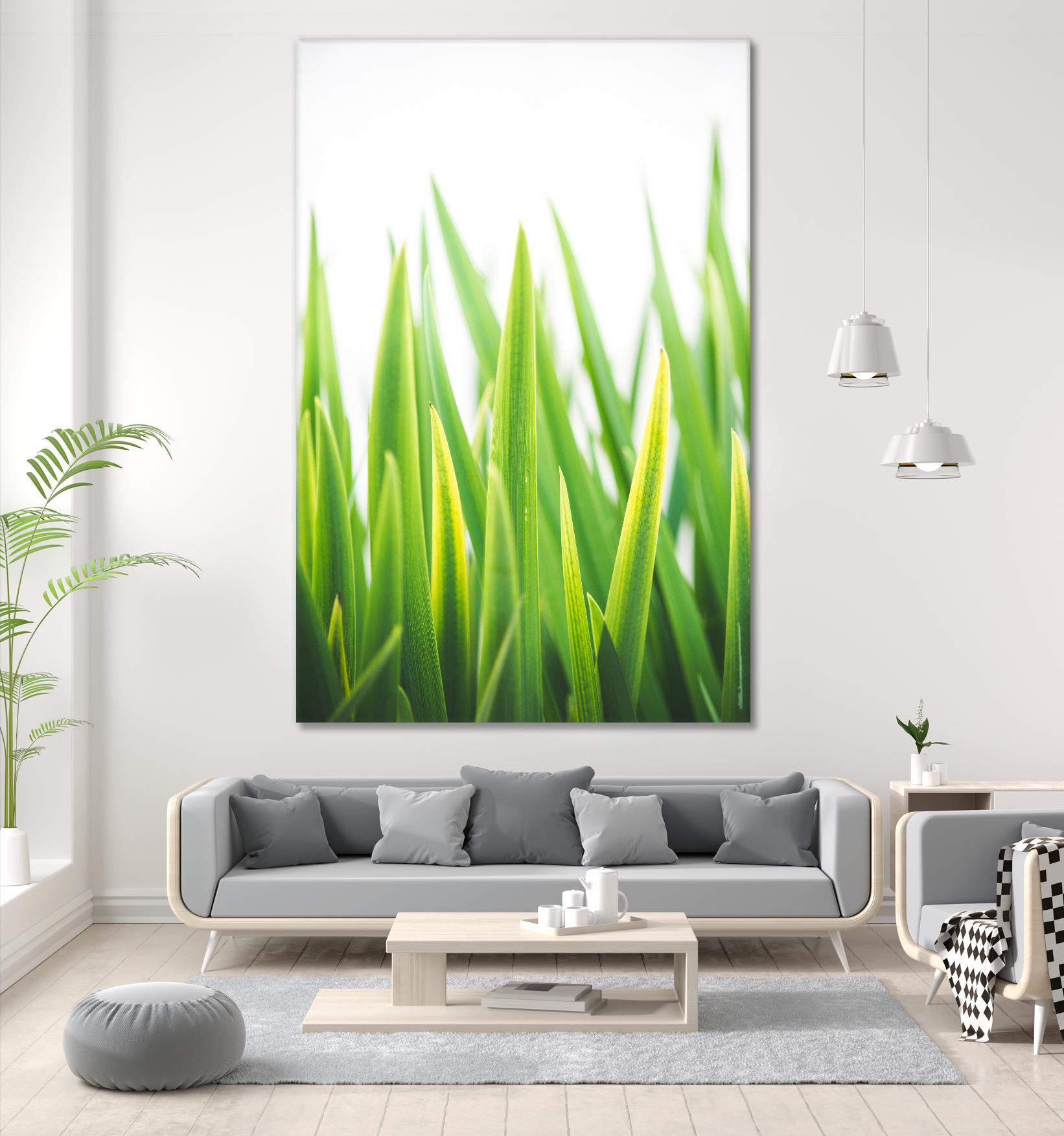 Blades of Green No. 2 by Sonja Quintero on GIANT ART - green floral/still life, photography