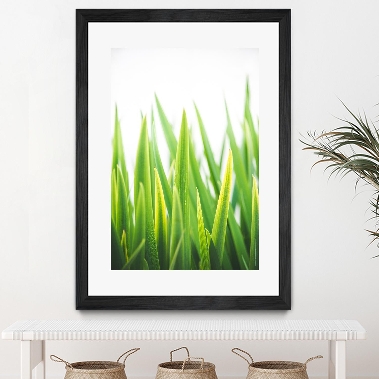 Blades of Green No. 2 by Sonja Quintero on GIANT ART - green floral/still life, photography