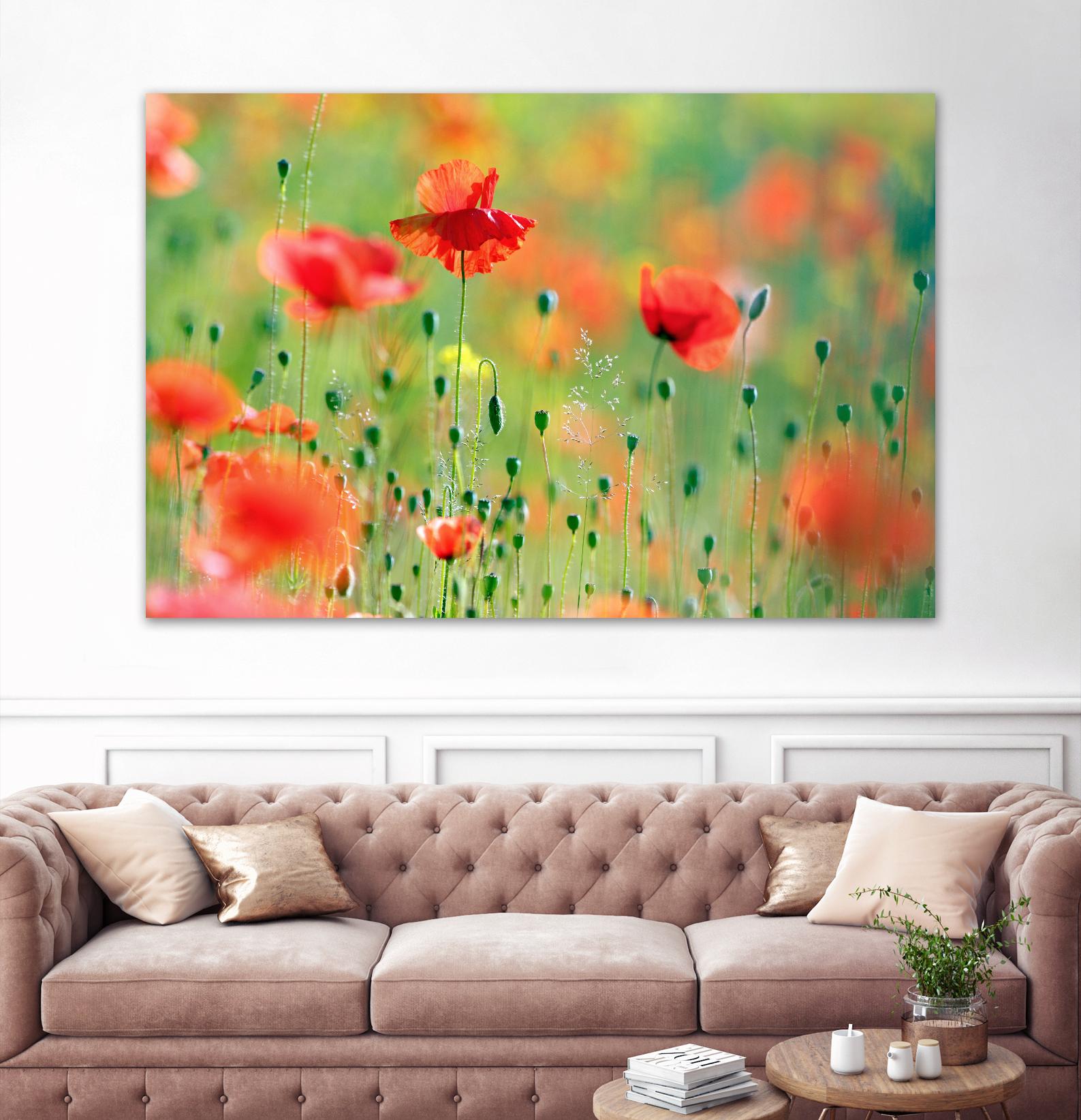 United Colors of Summer by Roeselien Raimond on GIANT ART - multicolor photography; floral/still life; landscapes