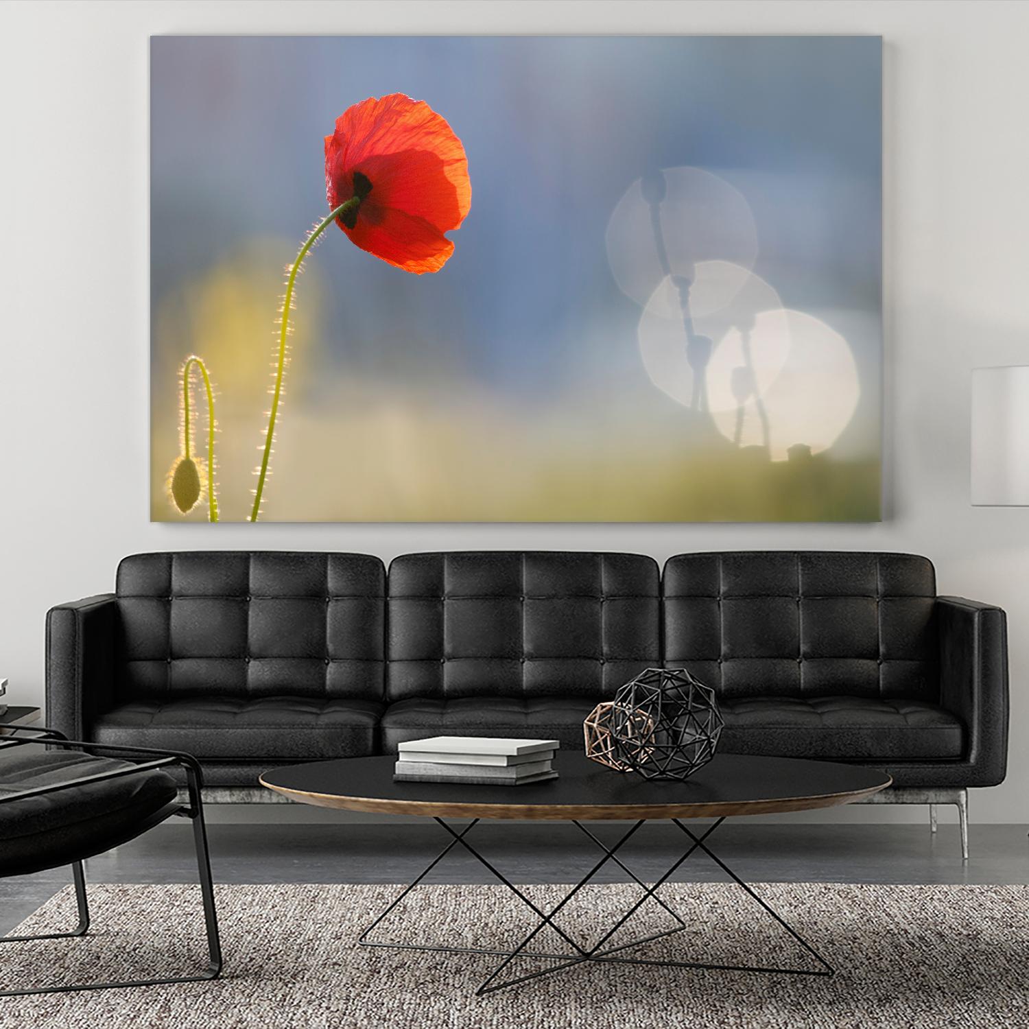 Echoes by Roeselien Raimond on GIANT ART - multicolor photography; floral/still life; landscapes