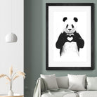 All You Need is Love by Balazs Solti on GIANT ART - white animals
