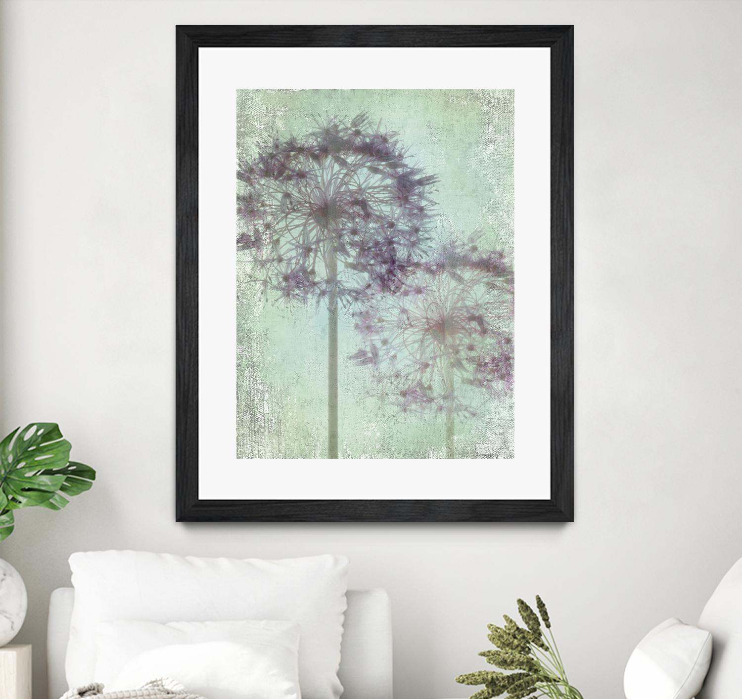 Allium Globe Master by Judy Stalus on GIANT ART - multicolor photography; floral/still life