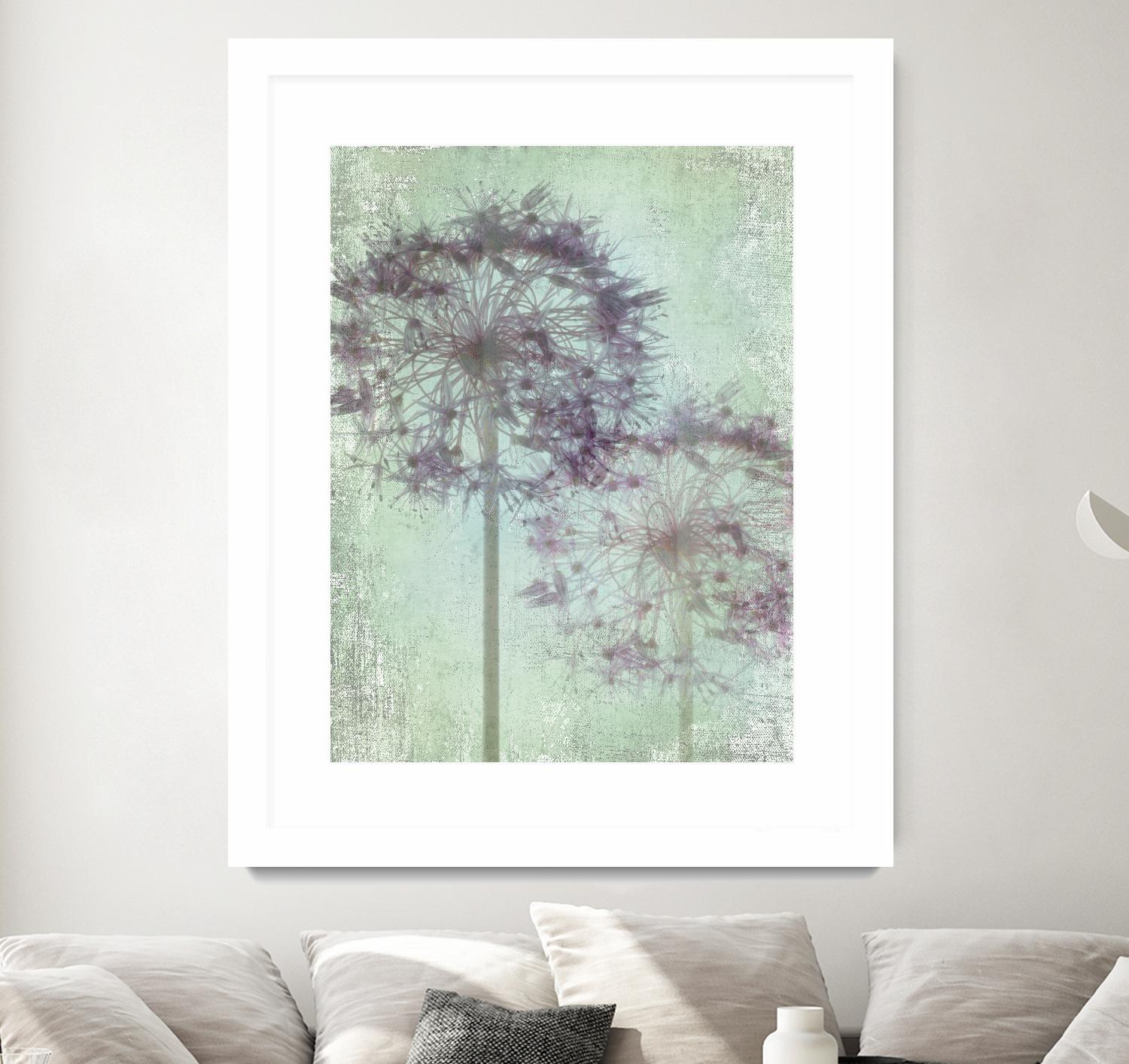 Allium Globe Master by Judy Stalus on GIANT ART - multicolor photography; floral/still life