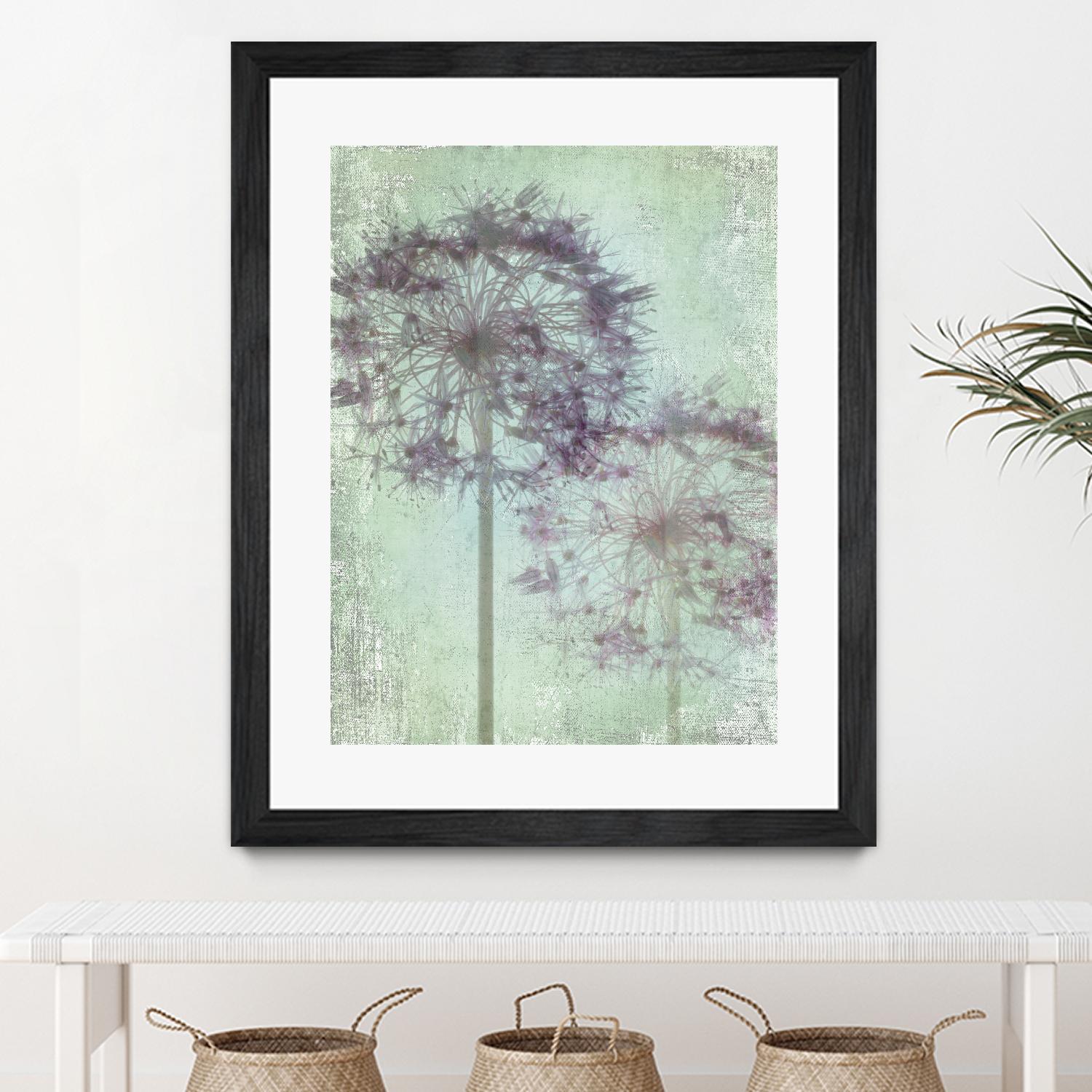 Allium Globe Master by Judy Stalus on GIANT ART - multicolor photography; floral/still life