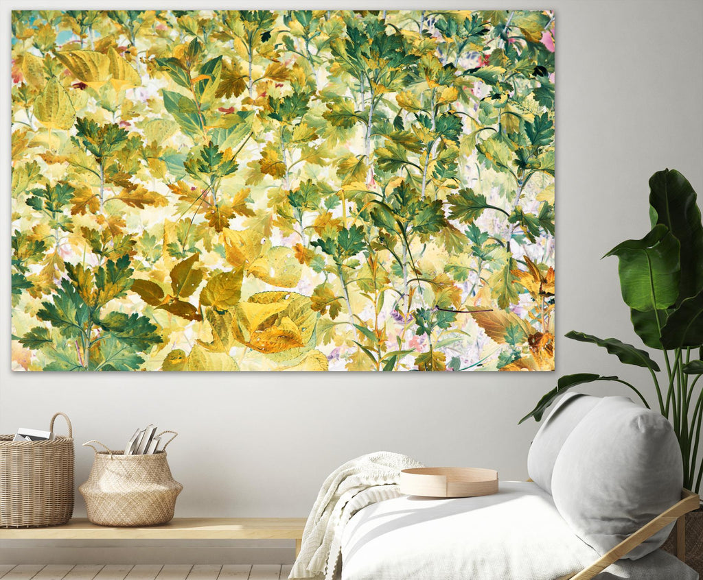 Autumn Tapestry by Judy Stalus on GIANT ART - multicolor photography; floral/still life; contemporary