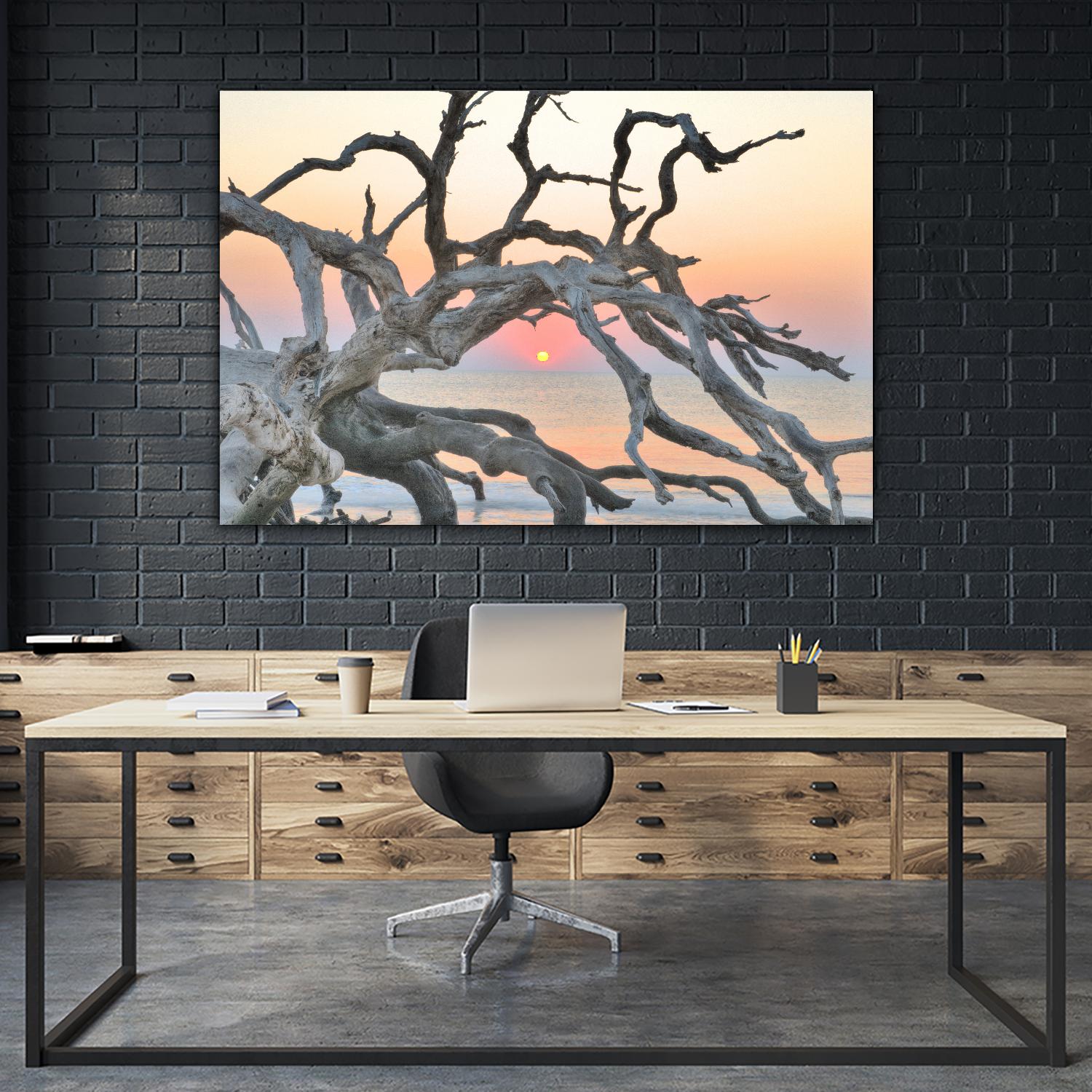 Sunrise Sentinel by Steve Vaughn on GIANT ART - multicolor photography; landscapes; coastal