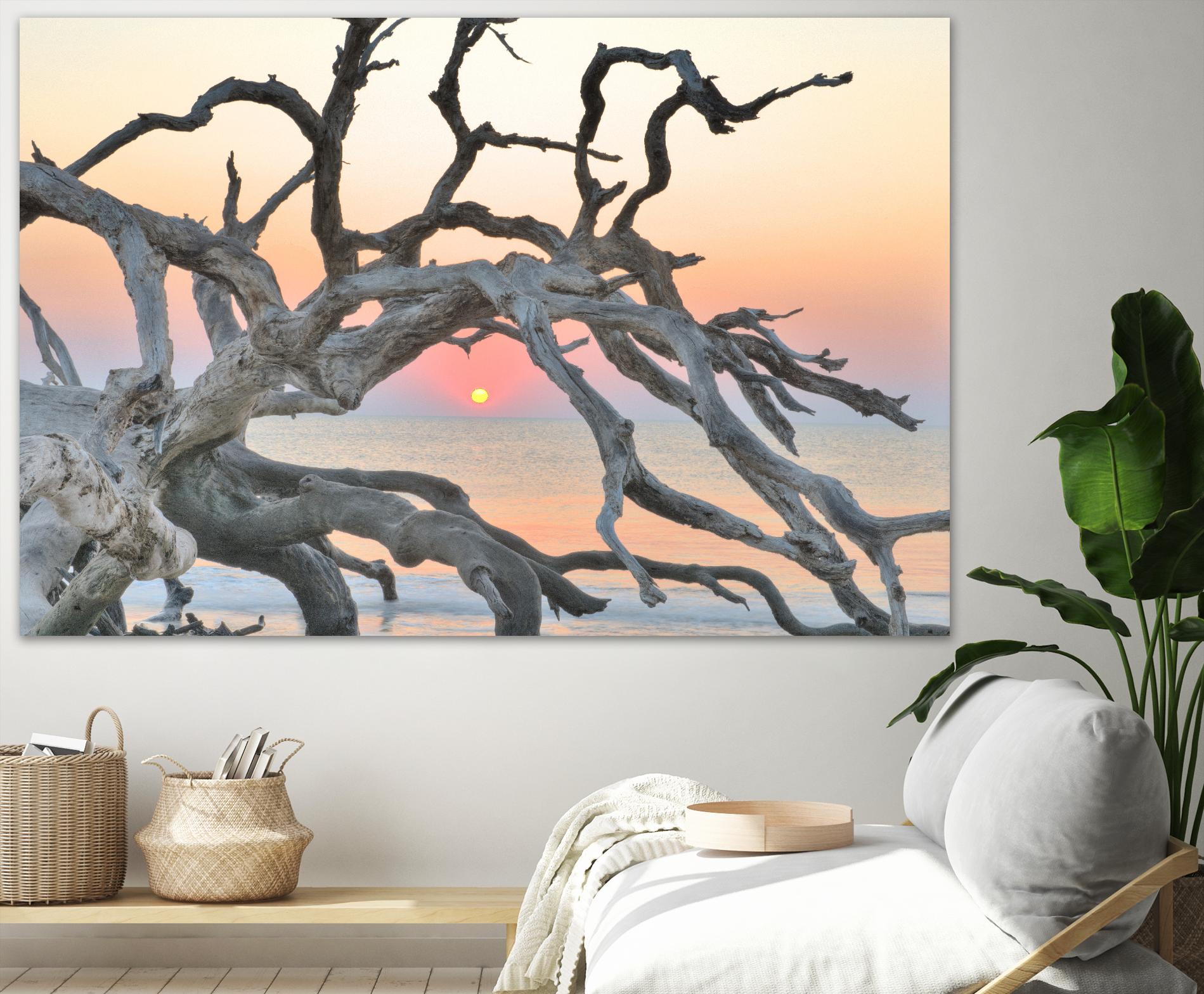 Sunrise Sentinel by Steve Vaughn on GIANT ART - multicolor photography; landscapes; coastal