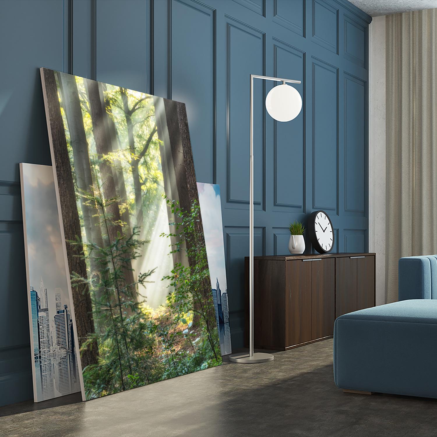 Sunbeam and Spiderweb by Lars Van de Goor on GIANT ART - multicolor photography; landscapes