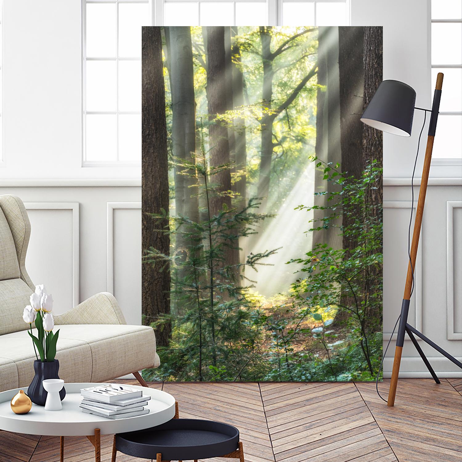 Sunbeam and Spiderweb by Lars Van de Goor on GIANT ART - multicolor photography; landscapes