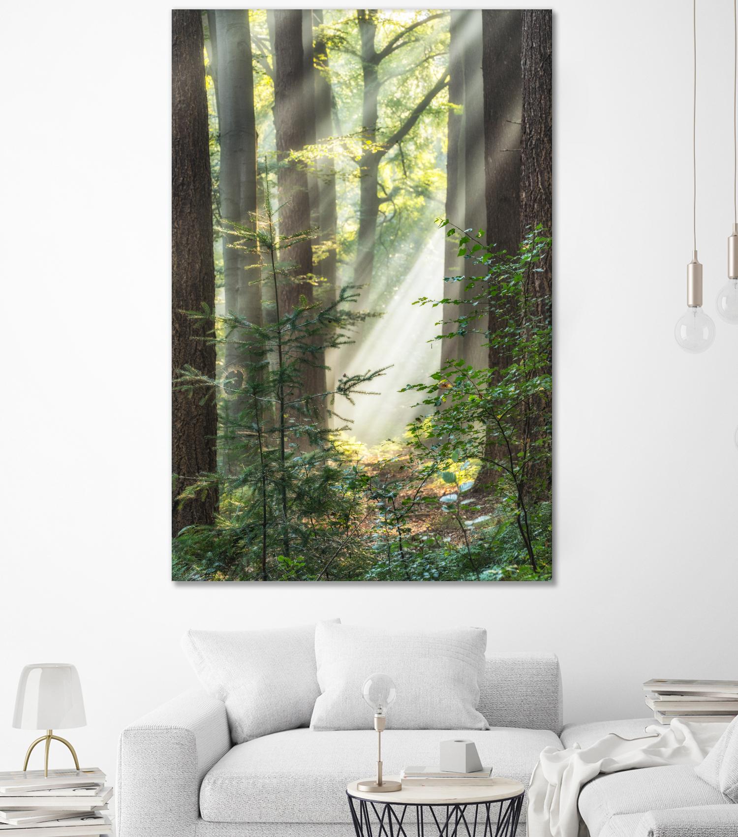 Sunbeam and Spiderweb by Lars Van de Goor on GIANT ART - multicolor photography; landscapes