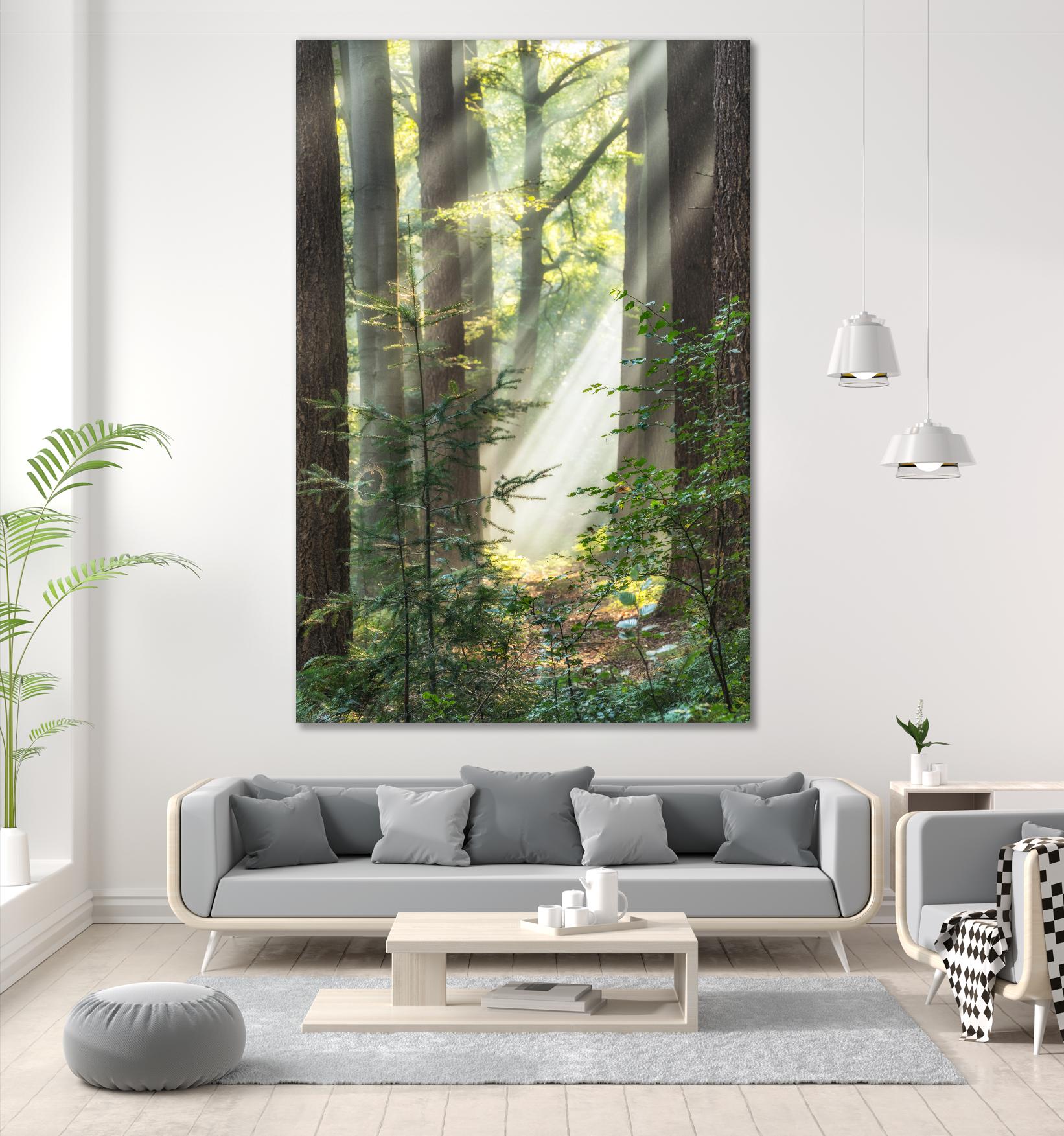 Sunbeam and Spiderweb by Lars Van de Goor on GIANT ART - multicolor photography; landscapes