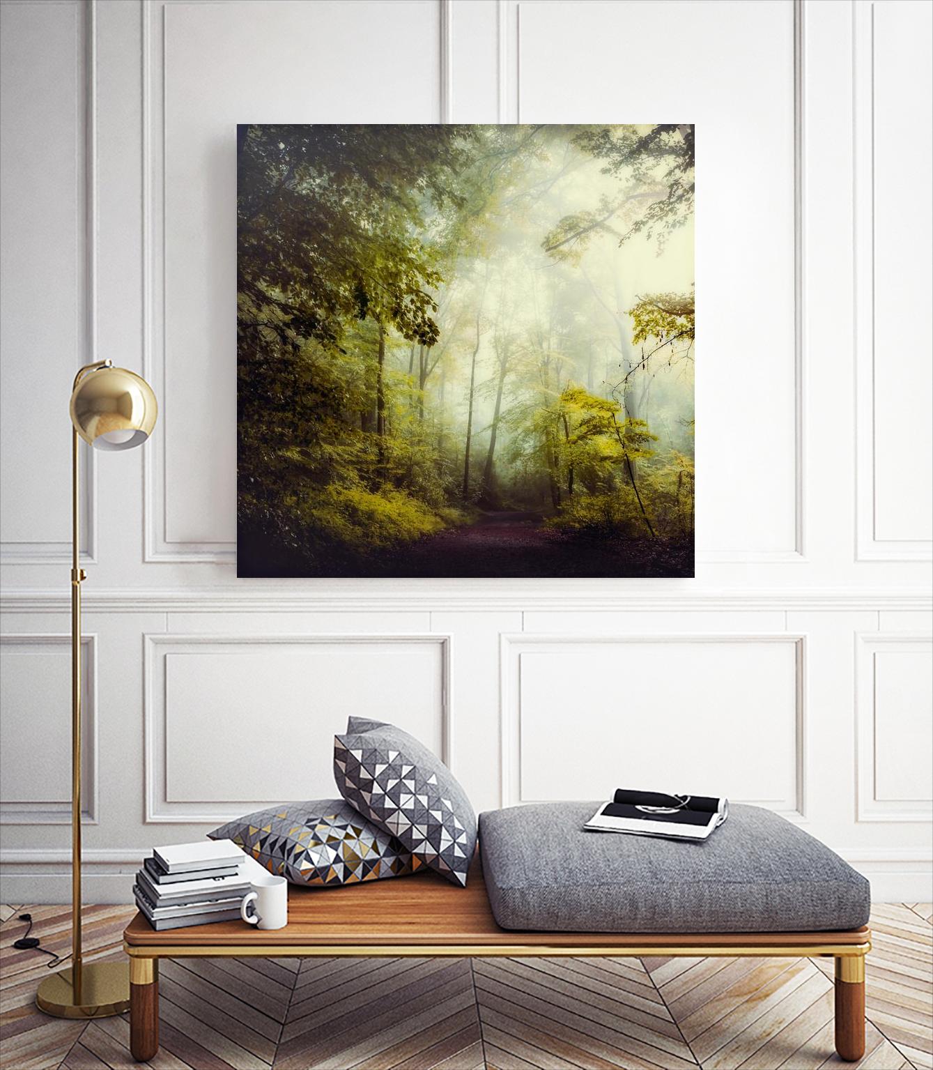 Glorious Woods by Dirk Wuestenhagen on GIANT ART - multicolor photography; landscapes