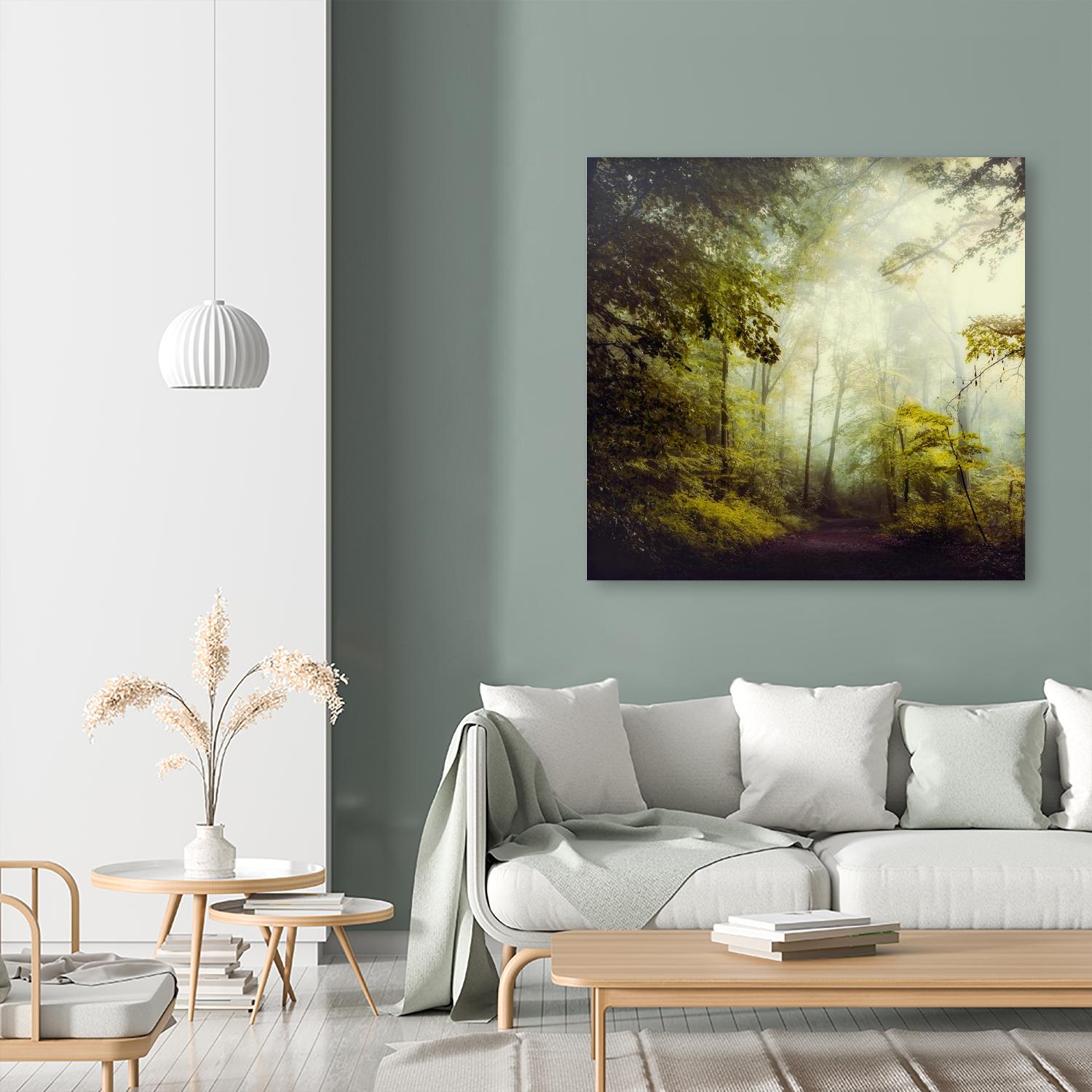 Glorious Woods by Dirk Wuestenhagen on GIANT ART - multicolor photography; landscapes