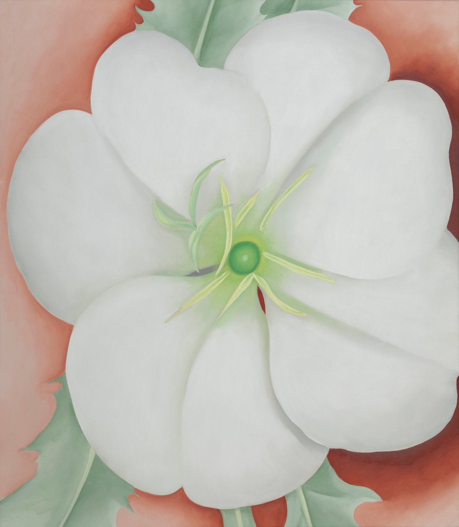 White Flower on Red Earth, No.1, 1943 by Georgia  O'keeffe on GIANT ART - botanical