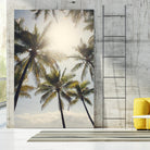 Standing in the Sun by Catherine McDonald on GIANT ART - white tropical