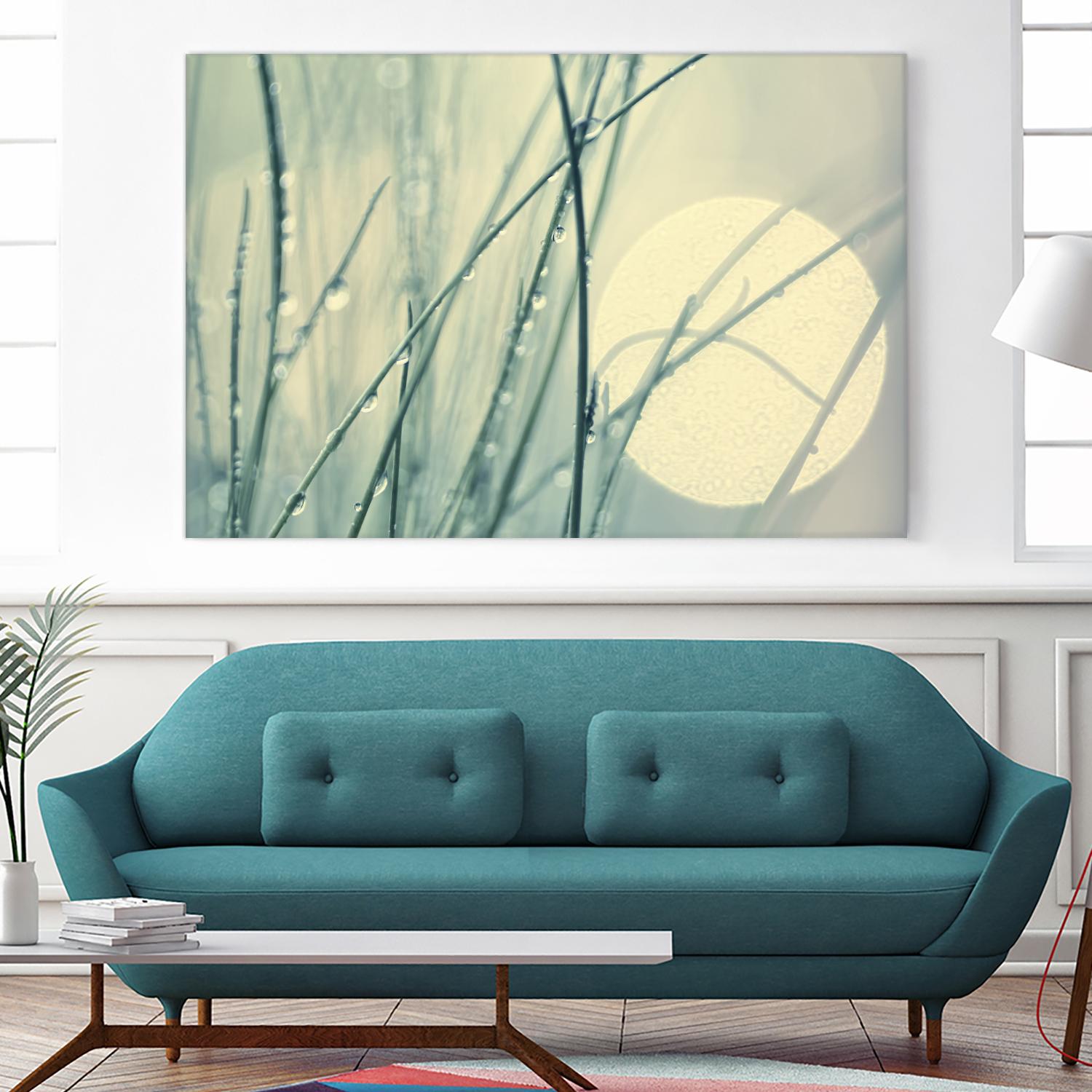 Morning Blues by Ingrid Beddoes on GIANT ART - beige photo art