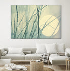 Morning Blues by Ingrid Beddoes on GIANT ART - beige photo art
