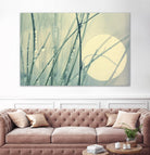 Morning Blues by Ingrid Beddoes on GIANT ART - beige photo art