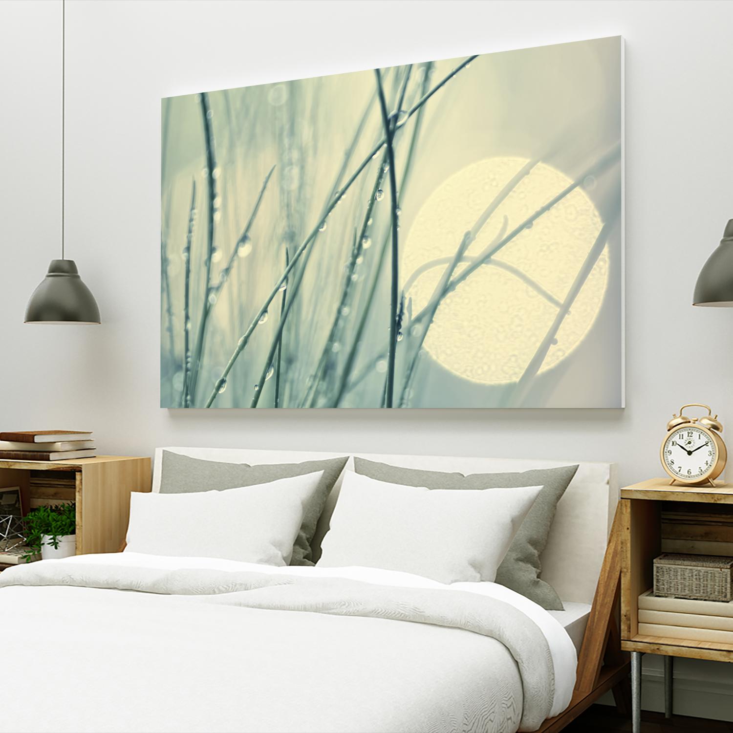 Morning Blues by Ingrid Beddoes on GIANT ART - beige photo art