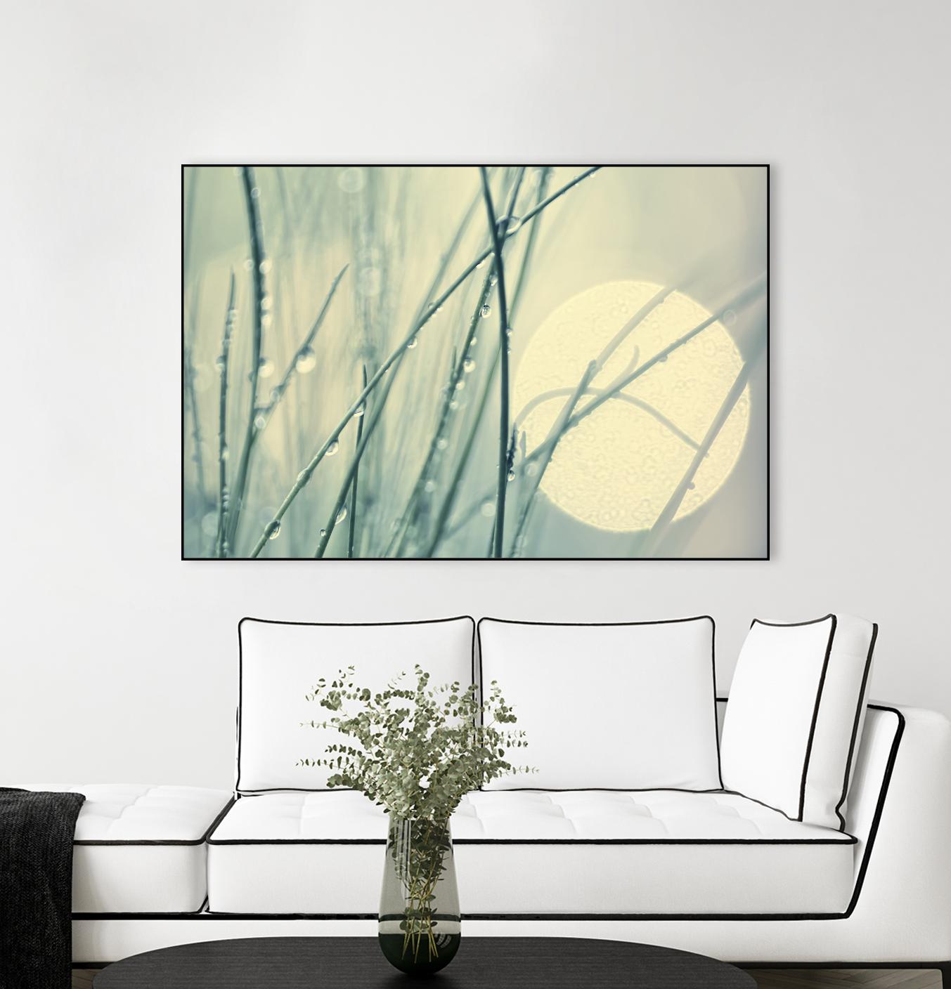 Morning Blues by Ingrid Beddoes on GIANT ART - beige photo art