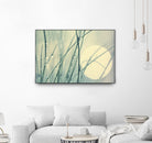 Morning Blues by Ingrid Beddoes on GIANT ART - beige photo art