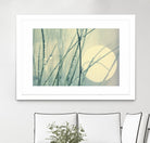 Morning Blues by Ingrid Beddoes on GIANT ART - beige photo art