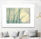 Morning Blues by Ingrid Beddoes on GIANT ART - beige photo art
