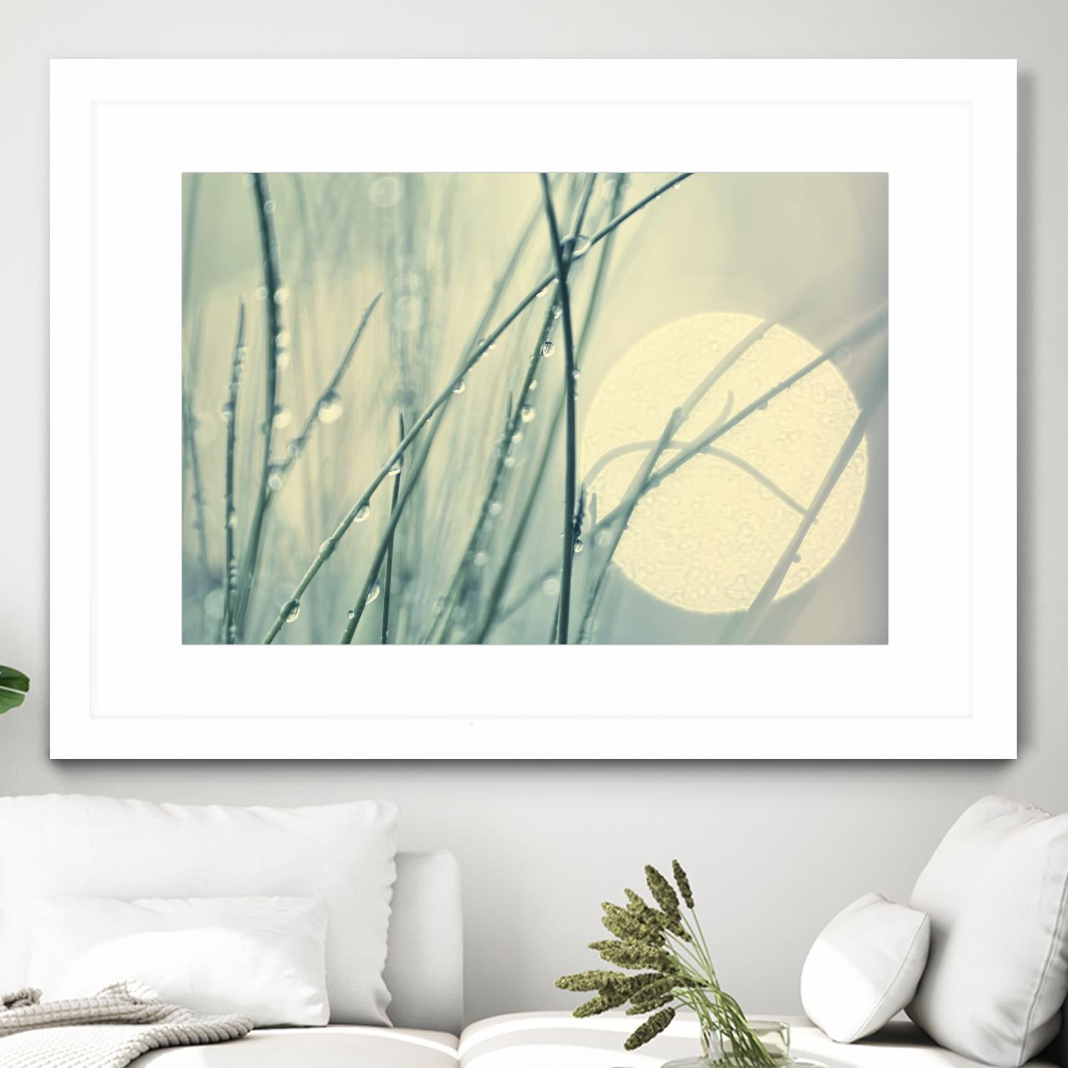 Morning Blues by Ingrid Beddoes on GIANT ART - beige photo art