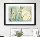 Morning Blues by Ingrid Beddoes on GIANT ART - beige photo art