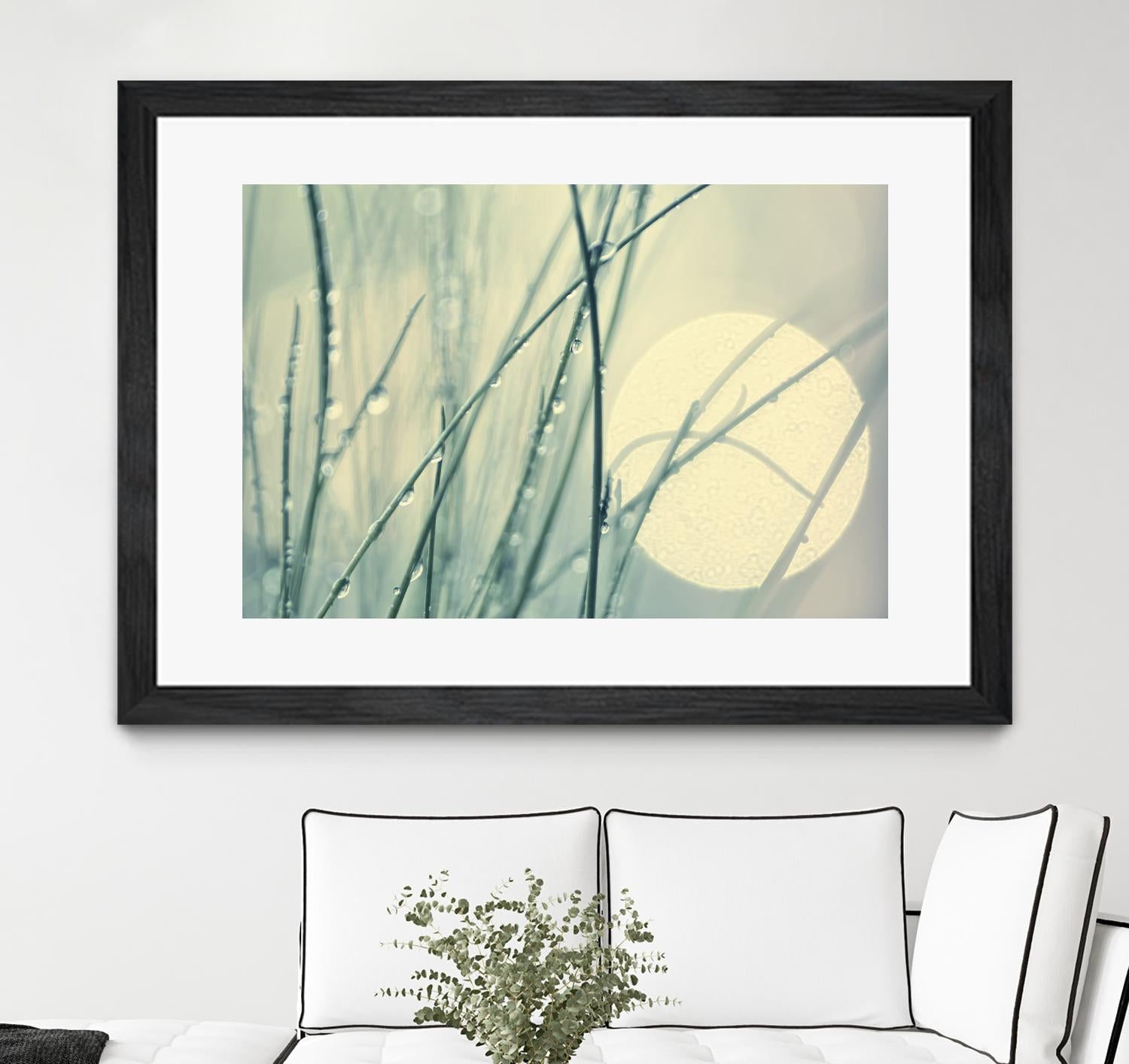 Morning Blues by Ingrid Beddoes on GIANT ART - beige photo art