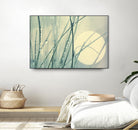 Morning Blues by Ingrid Beddoes on GIANT ART - beige photo art