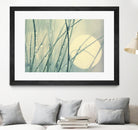 Morning Blues by Ingrid Beddoes on GIANT ART - beige photo art