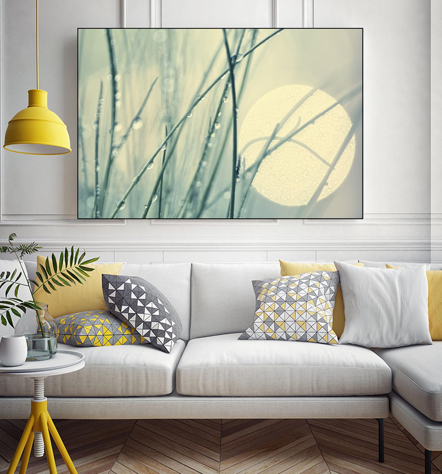 Morning Blues by Ingrid Beddoes on GIANT ART - beige photo art