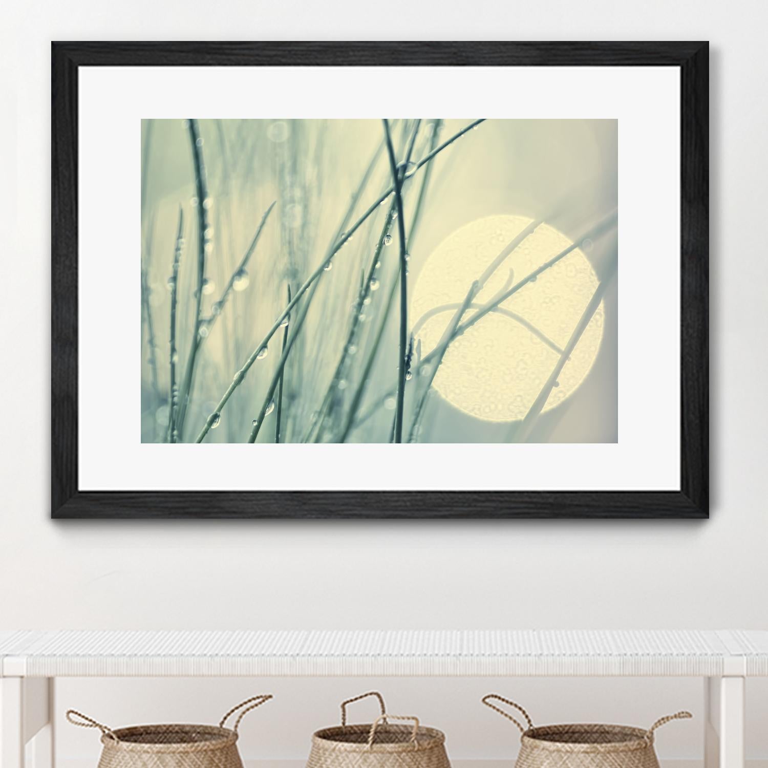 Morning Blues by Ingrid Beddoes on GIANT ART - beige photo art