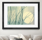 Morning Blues by Ingrid Beddoes on GIANT ART - beige photo art