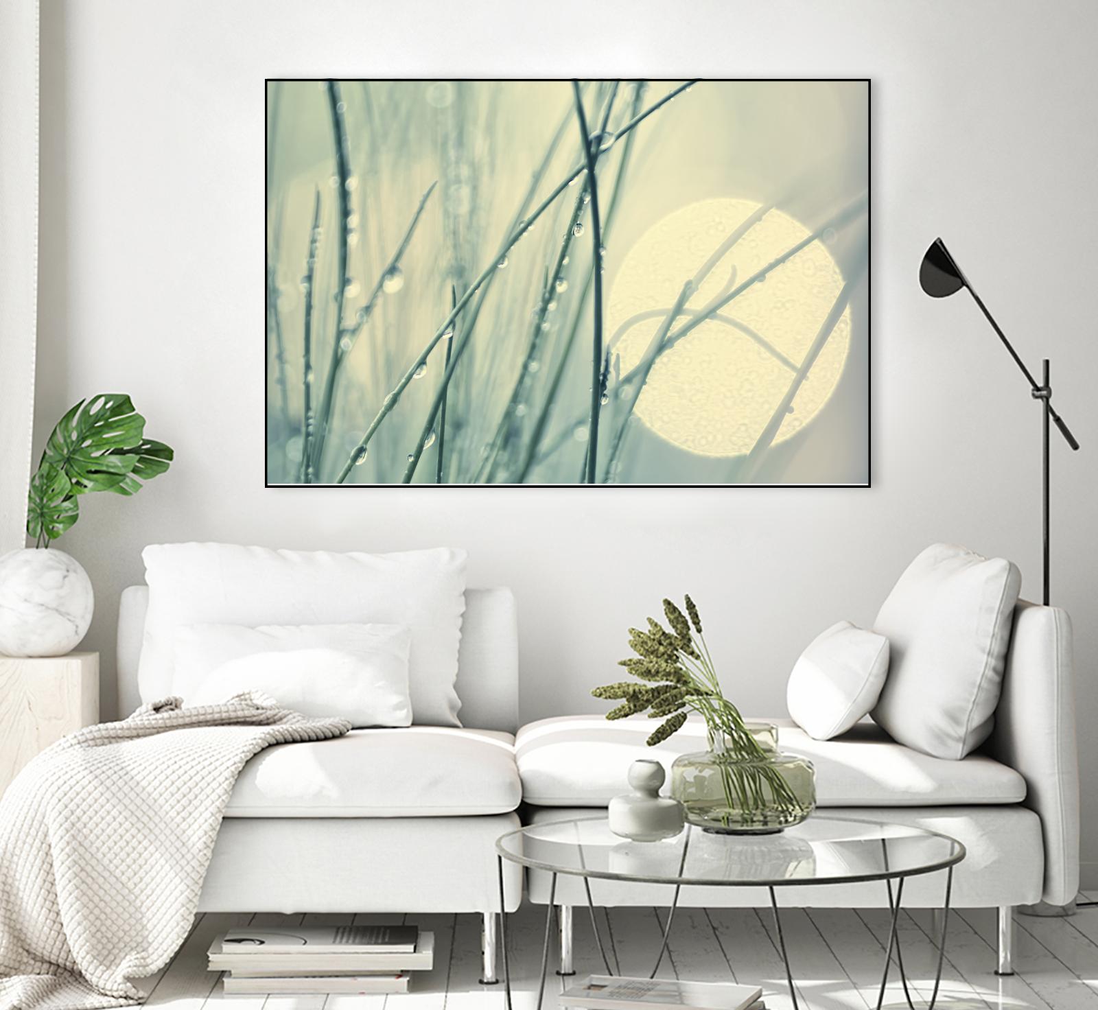 Morning Blues by Ingrid Beddoes on GIANT ART - beige photo art