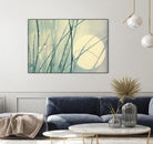 Morning Blues by Ingrid Beddoes on GIANT ART - beige photo art
