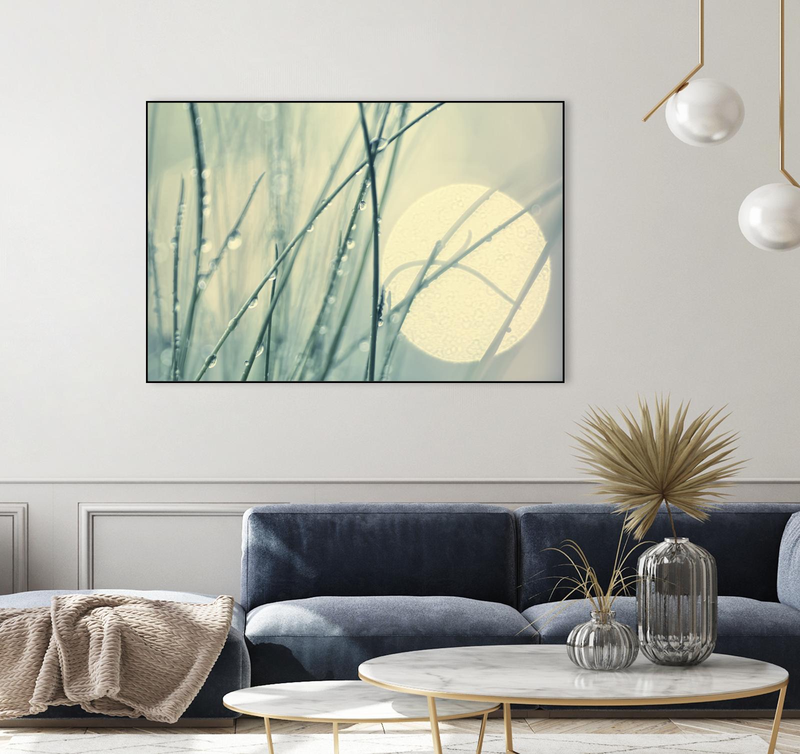 Morning Blues by Ingrid Beddoes on GIANT ART - beige photo art