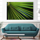 Tropical Bliss II by Norm Stelfox on GIANT ART - green photo art