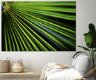 Tropical Bliss II by Norm Stelfox on GIANT ART - green photo art
