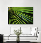 Tropical Bliss II by Norm Stelfox on GIANT ART - green photo art