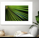 Tropical Bliss II by Norm Stelfox on GIANT ART - green photo art