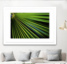 Tropical Bliss II by Norm Stelfox on GIANT ART - green photo art